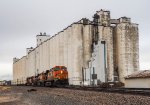 BNSF 5814 leads eastbound stacks past the grain elevators in Bovina
